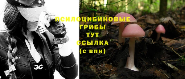 МДМА Арсеньев