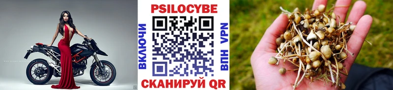 Галлюциногенные грибы Magic Shrooms  Козельск 